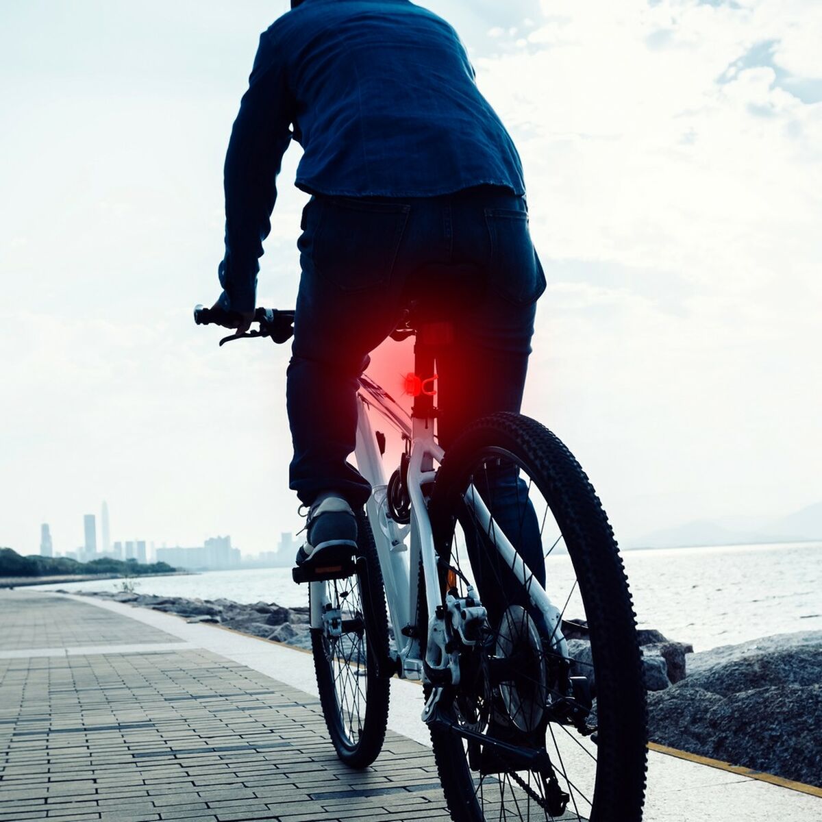LED Fiets Zaklamp TM Electron