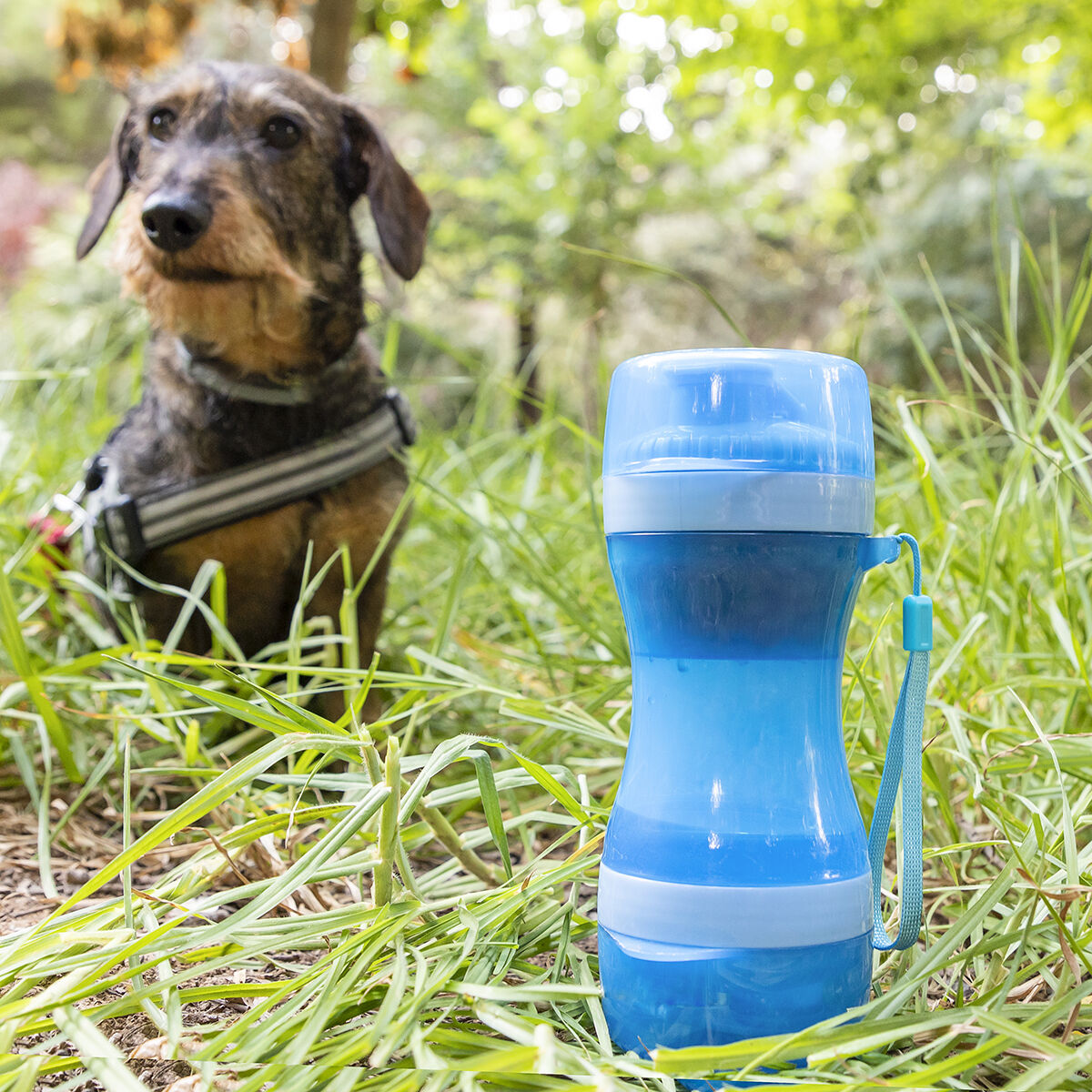 2-in-1 fles met water- en voercontainers voor huisdieren